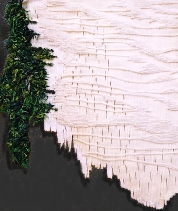 Seaweed - Sand 1.jpg
